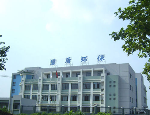 company Project
